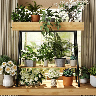 Plant Stand