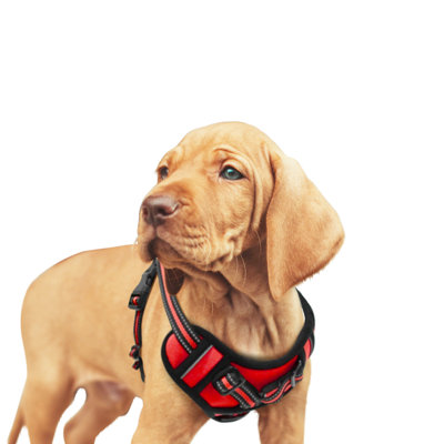  & Goopaws Padded Reflective Dog Harness, Easy Control Lightweight Dog Harness, Adjustable Outdoor Pet Harness For Small Medium Large Dogs, Orange, 20-24''chest