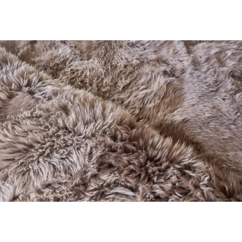 Sheepskin Area Rug in Mushroom, Rectangle 2' x 3'