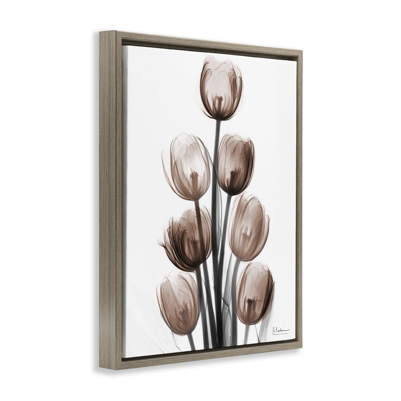 «Delightful Mocha Tulips», art mural encadré par Albert Koetsier, H 31 po x l 25 po, Cadre flottant orme Montalcino