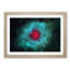 Out of Space Vol.20 in Abstract - Picture Frame Graphic Art Print-55735239-55735242