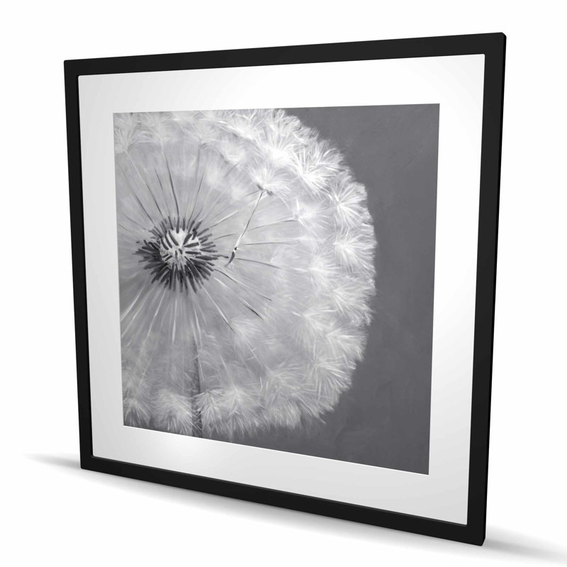 «Dandelion Puff Ball», impression botanique encadrée romantique, H 36 po x l 36 po, Noir