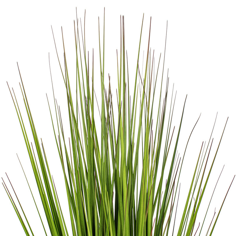24" Artificial Potted Green/Burgundy Flax Grass, 24" H x 6" W x 6" D