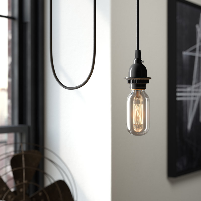 Luminaire suspendu à 1 lumière Elizebeth, Noir mat
