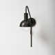 Luke Single Light Steel Dimmable Plug-in Armed Sconce