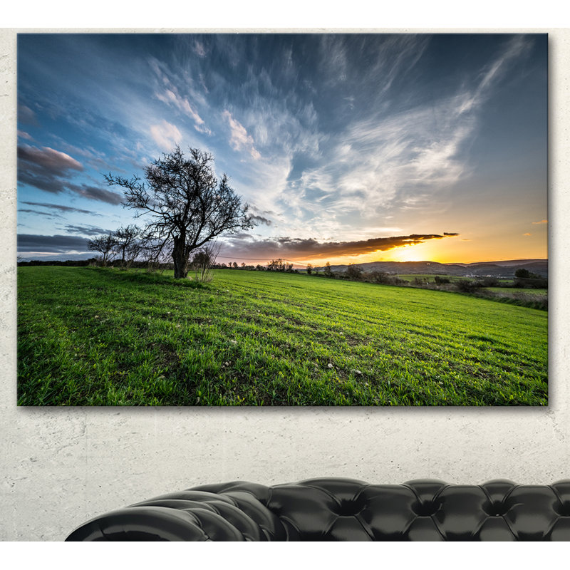 Green Grass Field in Sardinia - Reproduction de photo sur toile tendue, H 30 po x l 40 po
