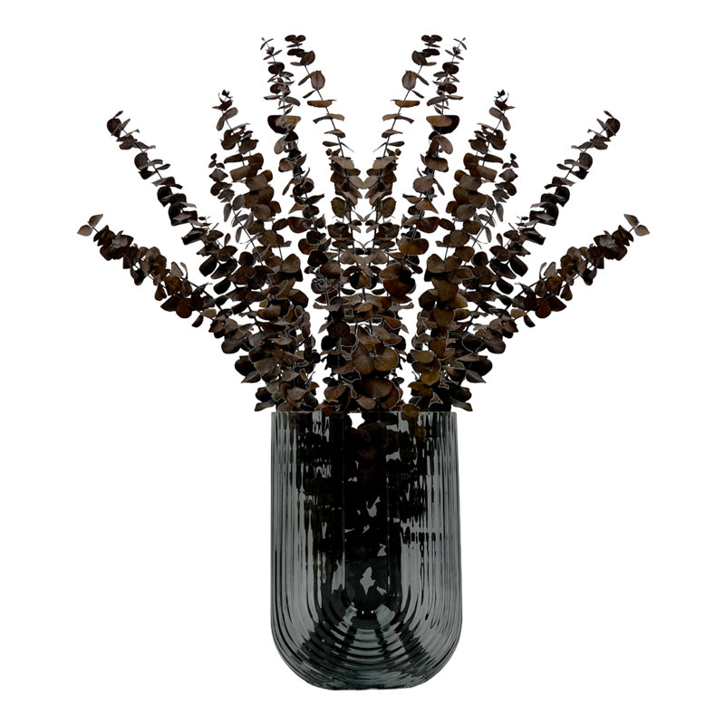 Ensemble de 4 bouquets d'eucalyptus séchés, Café
