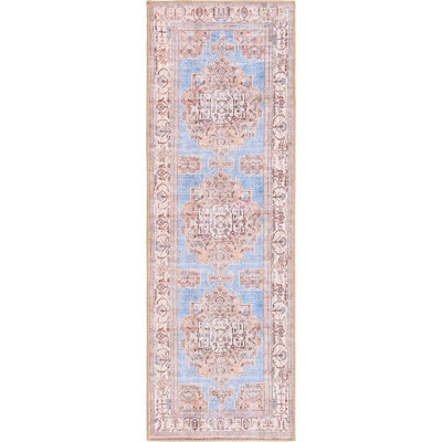 Mcclamma Chenille Oriental Indoor Rug