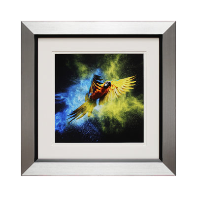 Dramatic Parrots II - Single Picture Frame Print