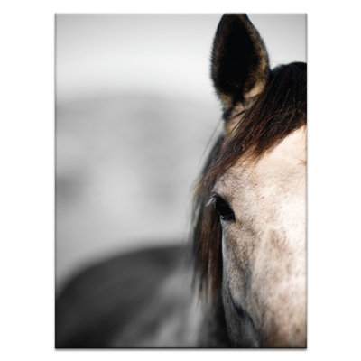 Joe Vittorio - Wrapped Canvas Print