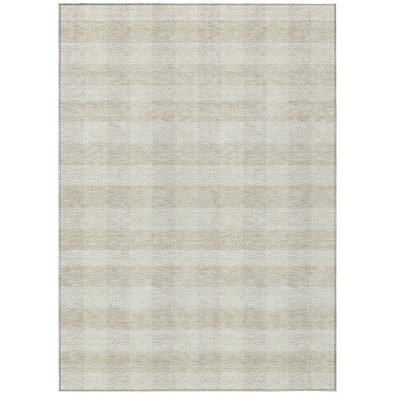 Colzie Flatweave Checkered Indoor / Outdoor Rug, Rectangle 3' x 5'