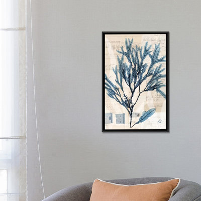 " Seaweed Arrangement I " by Vision Studio