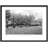 Brotton, Britannia Terrace C1955 - Single Picture Frame Print on Wood-51053317