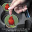 Bird - lot de 2 sous-verres de voiture en pierre absorbants