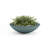 Oceanside Shallow Concrete Planter-714593618-714593640