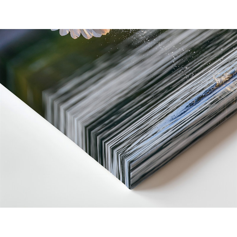 Toile, "Aigle chauve majestueux, ailes complètement déployées", H 20 po x l 20 po