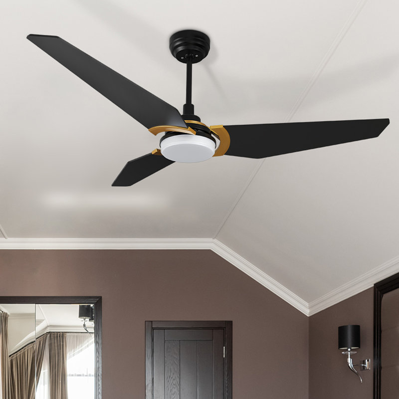 Alcia 52'' Ceiling Fan with LED Lights, Black/Golden