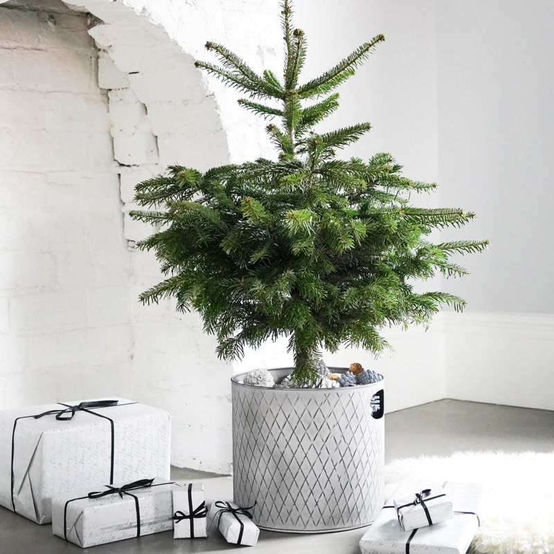 Textured Zinc Bucket with Built-In Handles, 23cm H x 23cm W x 23cm D