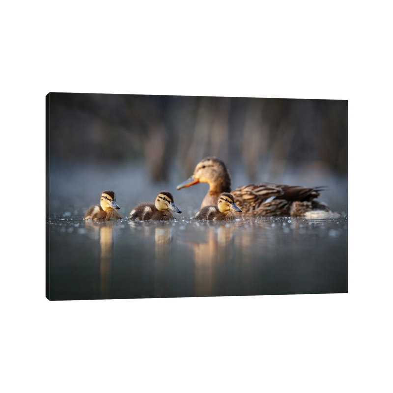 Family by Mateusz Piesiak - Wrapped Canvas Print