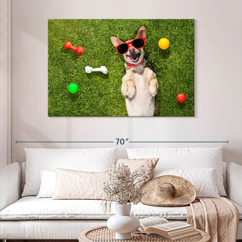 Ketti terrier chihuahua amusant, H 32 po x l 48 po