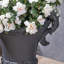 DELPHINE URN, pot à fleurs