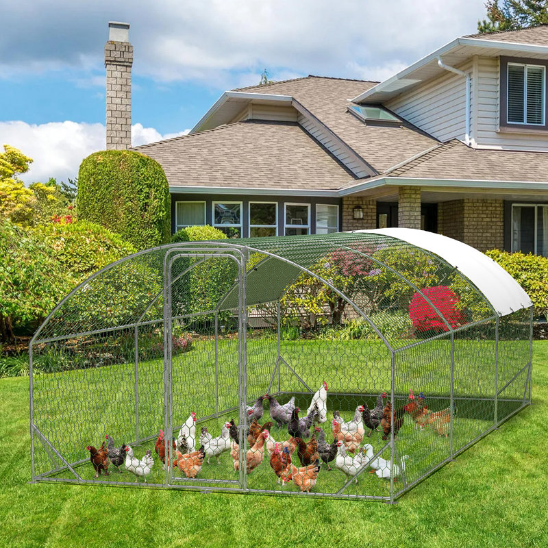 5.94m² Chicken Coop, 200cm H x 300cm W x 600cm D