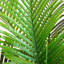 Cocotier artificiel-1201068297