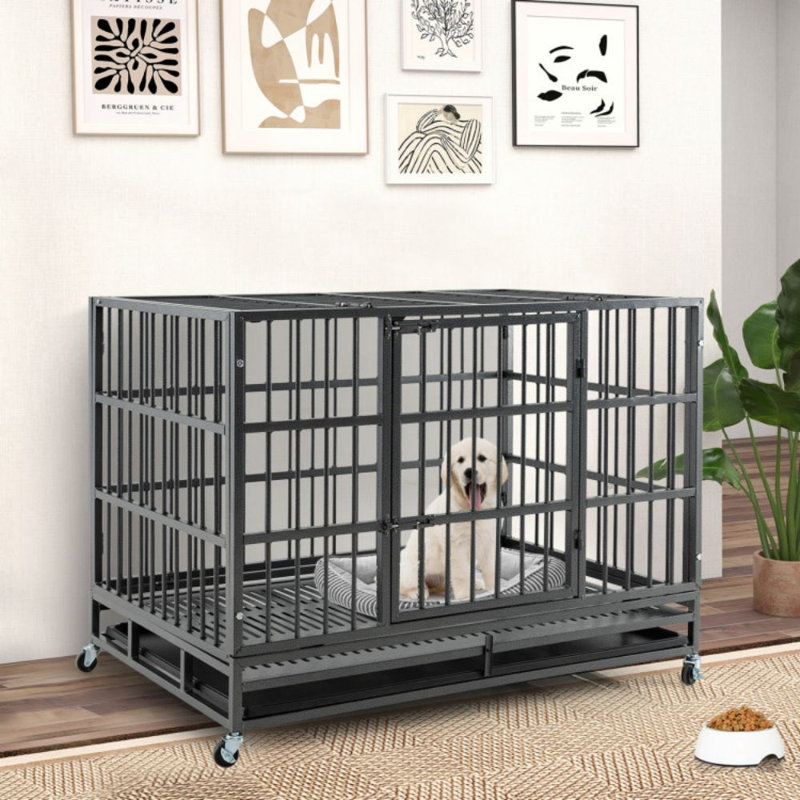 Cage à chien pliable en métal robuste avec roulettes verrouillables et plateau, H 35 po x l 48 po x P 30 po
