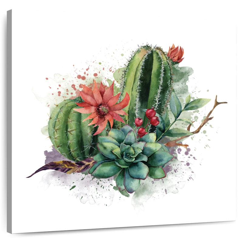 Harnek succulentes et éclaboussures de cactus, H 10 po x l 10 po