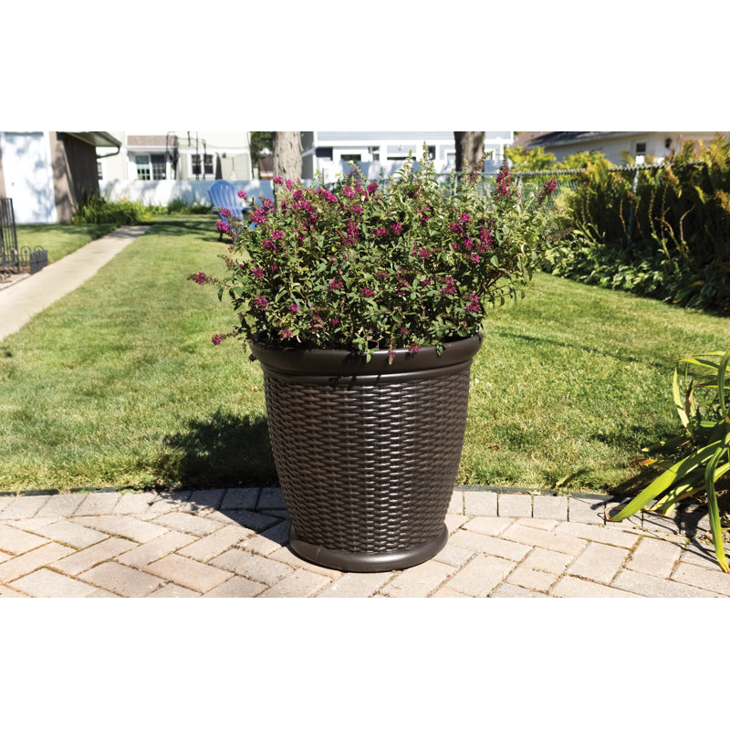 Pot Planter