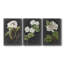 «Dramatic White Flowers I», ensemble de 3 impressions sur toile tendue-158013528