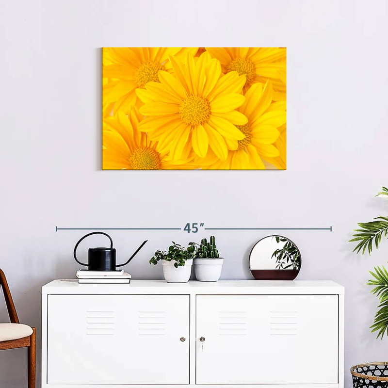 Marguerites jaunes Harnek, H 20 po x l 30 po