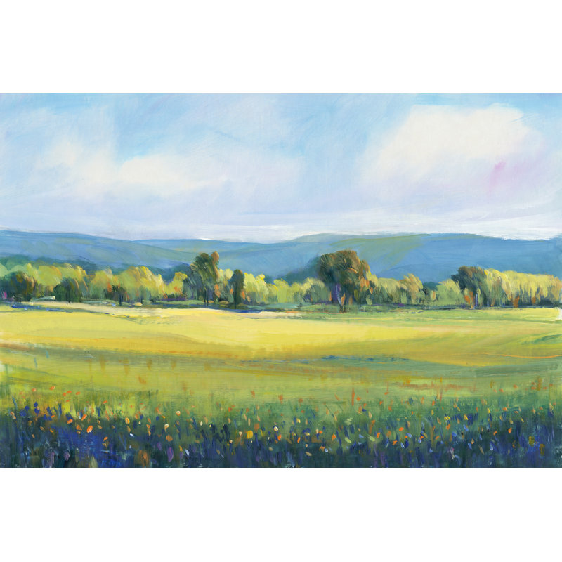 Partly Cloudy I by Timothy O' Toole - Painting Print, 81cm H x 122cm W, Black Floater Framed