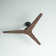 52" Chisel 3 - Blade Ceiling Fan with Wall Control