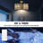 31" Caged Ceiling Fan with Dimmable Light Kit and Remote Control-2138851292
