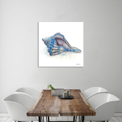" Bohemian Shells: Conch "