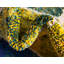 Tapis jaune / bleu / rouge Burtrum-989481044