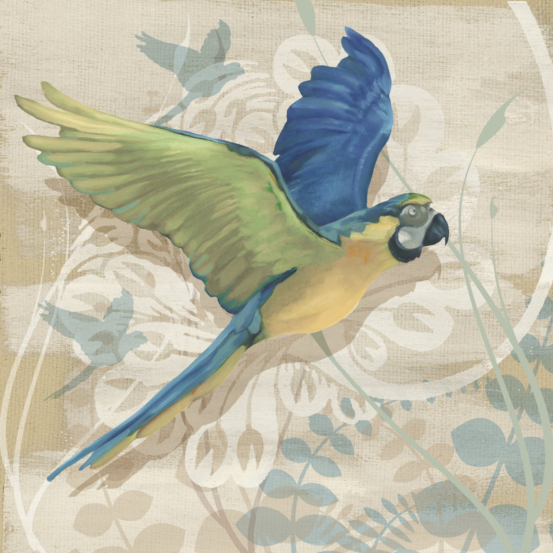 Parrot Society I, H 30 po x l 30 po x P 1,25 po