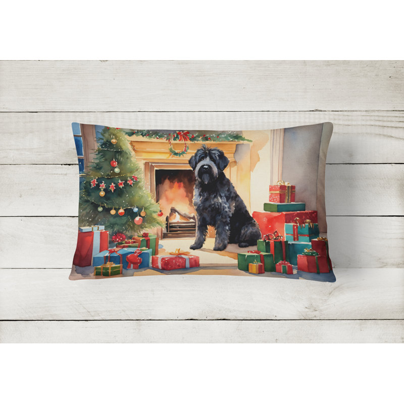 Other/No Pattern Outdoor Throw Pillow