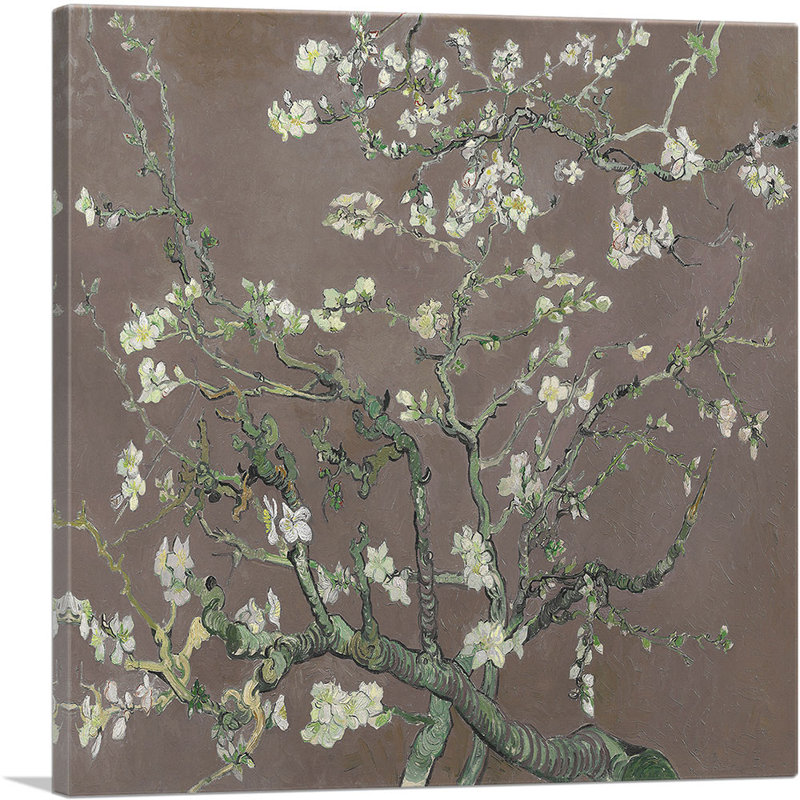 Branches avec fleur d'amandier - 1890 par Vincent Van Gogh - peinture sur toile tendue, H 36 po x l 36 po x 1,5 po