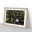 Green Forest N Sweden in Abstract - Picture Frame Graphic Art Print-55736162-55736163