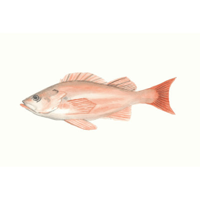 Watercolor Deep Sea Fish I