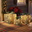 Coffret-cadeau de 3 pièces à paillettes dorées avec décorations de pommes de pin et de baies, illuminé pour les fêtes de fin d'année.
