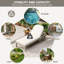 Modern Patio Chaise Lounges, Acacia Wood, Adjustable Recliner For Poolside & Lawn