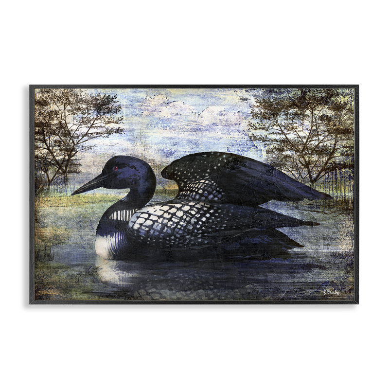 Loon in Rustic Pond, art de la giclée encadrée par Paul Brent, Giclée encadrée noir minuit, H 20 po x l 30 po