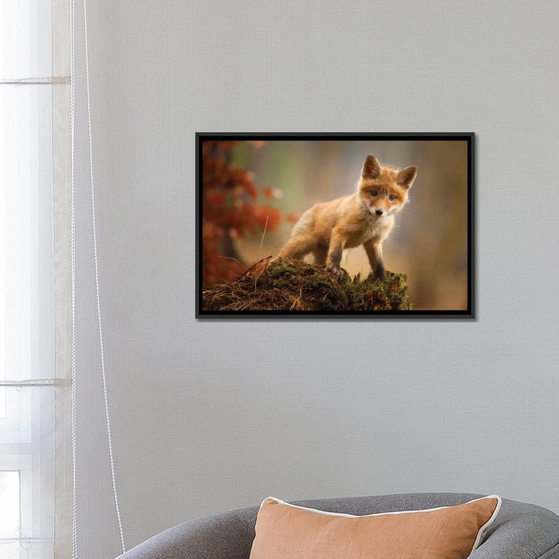 Renard par Robert Adamec - reproduction de photo, H 18 po x l 26 po x P 1,5 po, Aucun mat, Toile avec cadre noir