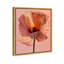 Amber Radiance I Print by Oliver Gal-337204766-337204757