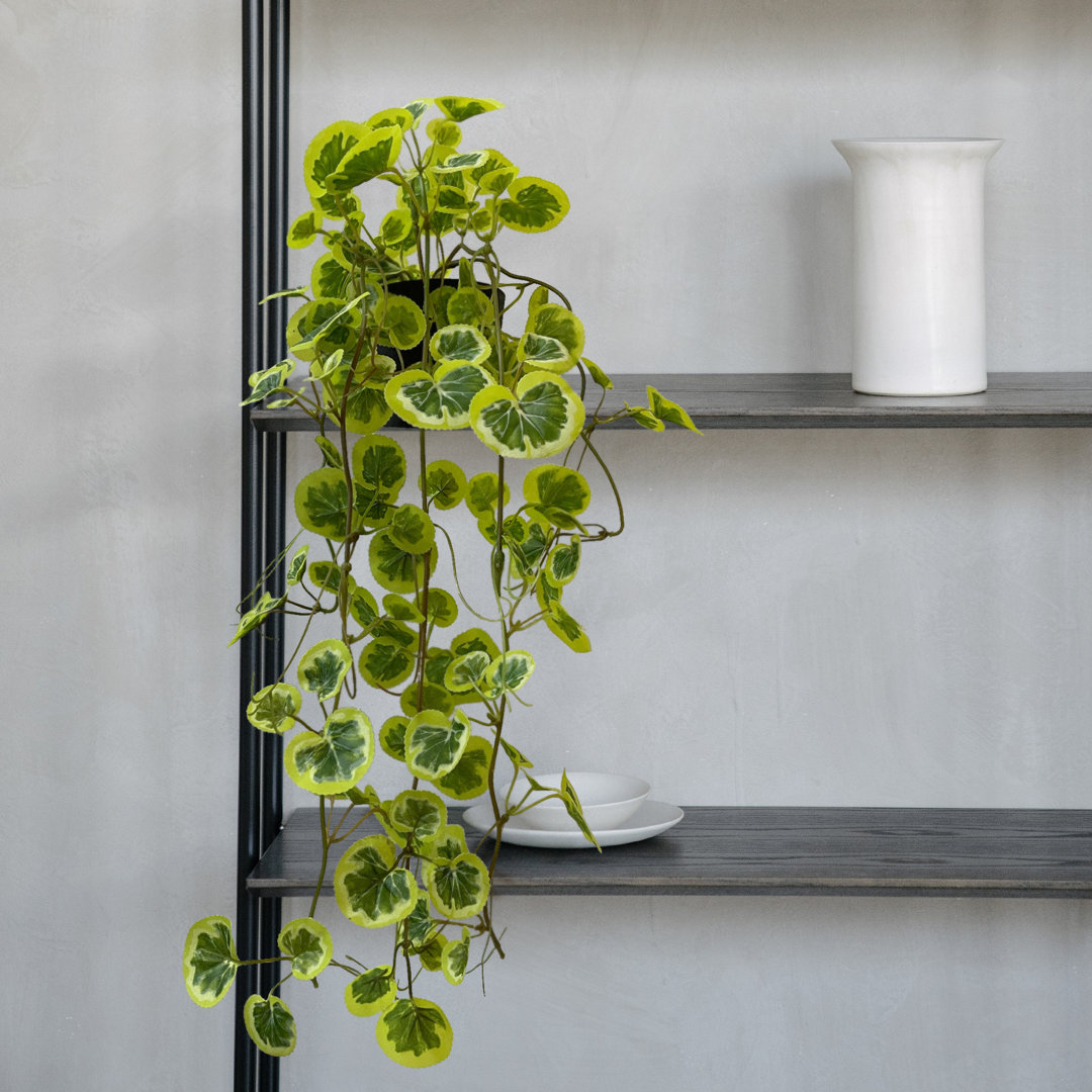 Faux Ivy Plants in Pots (Set of 3) Primrue