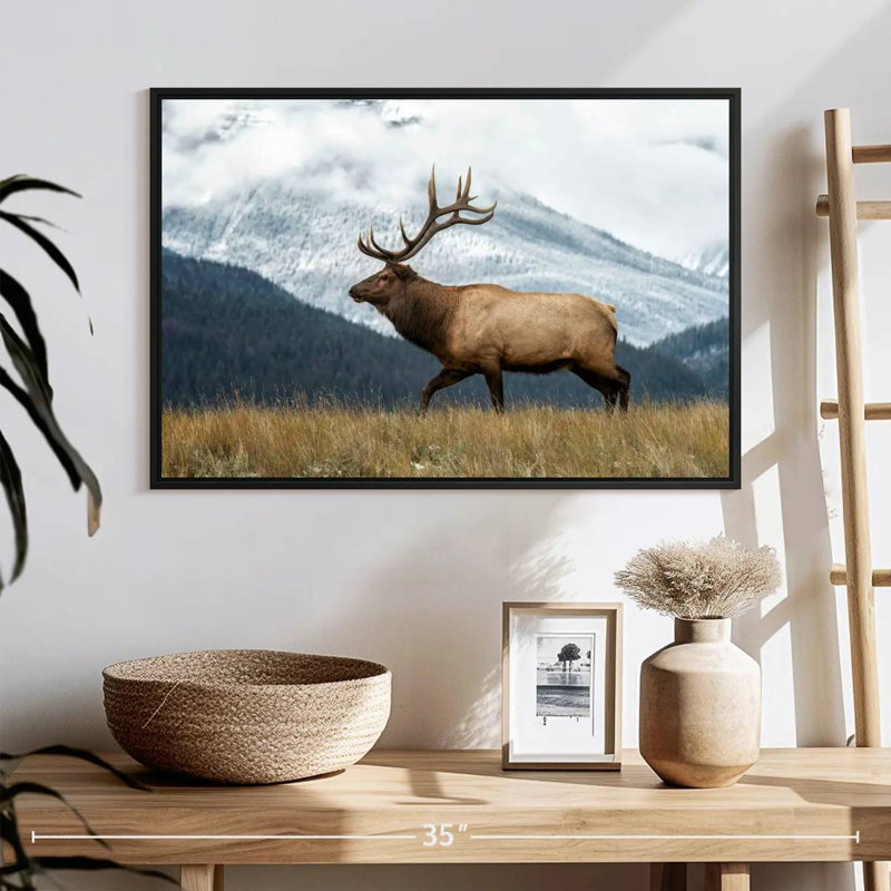 Brampt Mountain Bull Elk, 17" H x 25" W