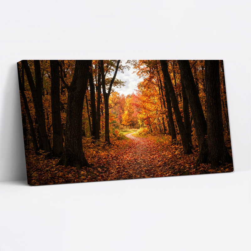 Chemin à travers la forêt avec des feuilles d'automne orangées - Tableau sur toile, 46“W x 24”H